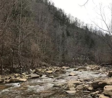 E Bobcat Ln, Wilder, TN 38589 - photo 2