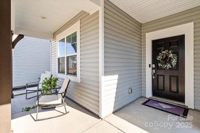 4230 Coachwhip Ave, Lancaster, SC 29720 - photo 3