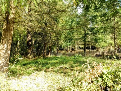 18200 Penn Ln SE, Yelm, WA 98597 - photo 2