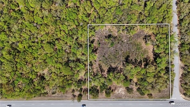 161 W Norvell Bryant Hwy, Hernando, FL 34442 - photo 2