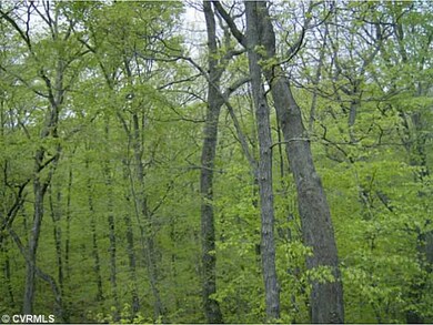 View - Treed View