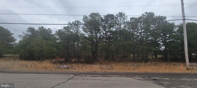 ERII 331 Glen Eagle, Hazle Township, PA 18202 - photo 7