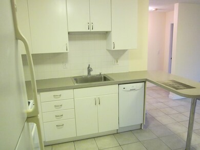 145 Warren St unit 2, Watertown, MA 02472 - photo 5