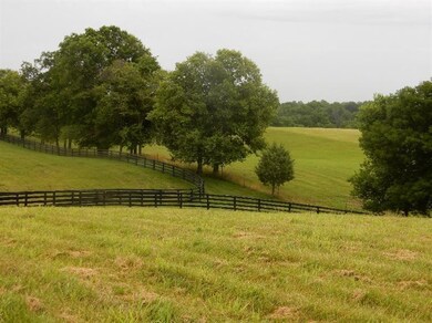 1084 Hifner Rd, Versailles, KY 40383 - photo 7