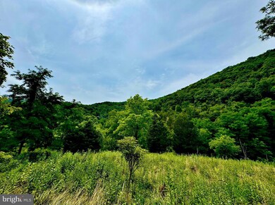 TBD Dumpling Run Rd, Moorefield, WV 26836 - photo 2