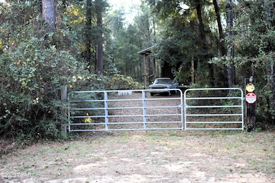 1808 Lakeview Rd, Caryville, FL 32427 - photo 2