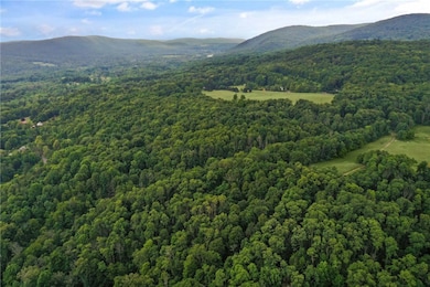 0 Slators Ln unit R1626210, Newfield, NY 14867 - photo 6