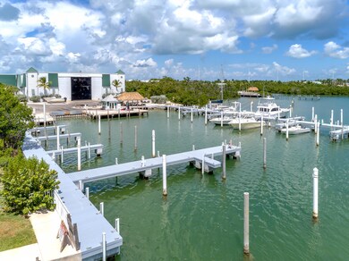Dockmaster on Site