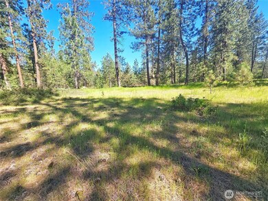 0 5xx Couples Ct, Chewelah, WA 99109 - photo 6