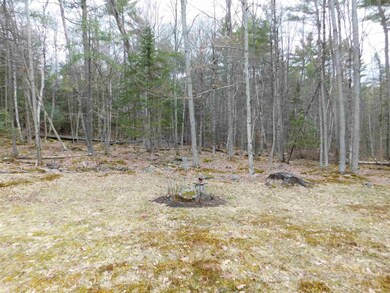 294 Route 120, Plainfield, NH 03781 - photo 2