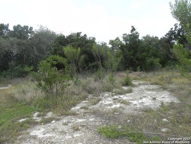 8518 Terra Mont Way, San Antonio, TX 78255 - photo 4