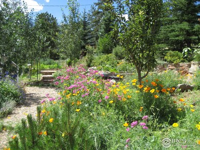 Summer Flower Garden