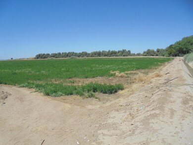 141 Water Toll Acres On 8th Ave, Blythe, CA 92225 - photo 2