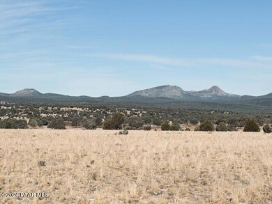 98-D 10 Tanks Rd, Ash Fork, AZ 86320 - photo 7