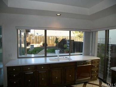 Pass through window from kitchen to back yard
