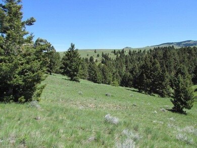 National Perkins Gulch, Deer Lodge, MT 59722 - photo 3
