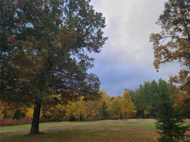 30109 Minerva Dam Rd, Danbury, WI 54830 - photo 4