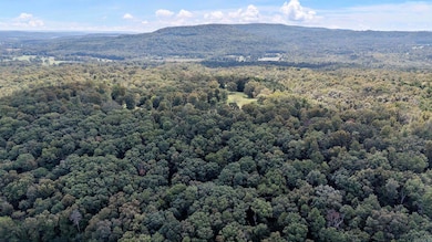 TRACT 2&3-13610 Arkansas 105, Hector, AR 72843 - photo 6