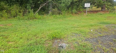 4944 Davis Rd, Winston Salem, NC 27105 - photo 4