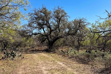 2929 Farm To Market Road 2146, Poteet, TX 78065 - photo 3