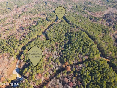 277 Riverhills Trail, Rockingham, NC 28379 - photo 2