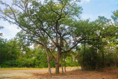 12524 Red Hill Rd, Hearne, TX 77859 - photo 2