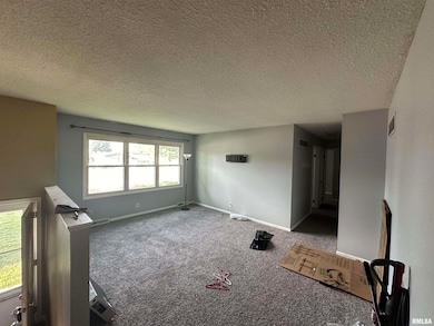 616 W 46th St, Davenport, IA 52806 - photo 6