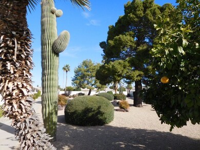 14235 N Palm Ridge Dr W, Sun City, AZ 85351 - photo 4