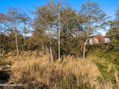 14-web-or-mls-Warrenton Land-07