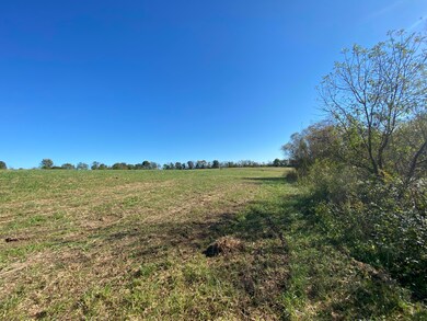 1 Brock Ln, Harrodsburg, KY 40330 - photo 4