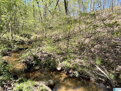 Tract 3 County Road 268 unit 3, Roanoke, AL 36274 - photo 5