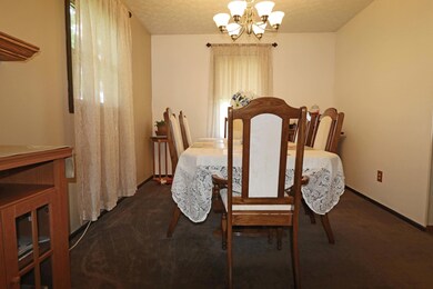 IMG_1559_edited-1
