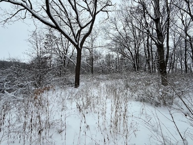 L7 Fawn Meadow Ln, Verona, WI 53593 - photo 4