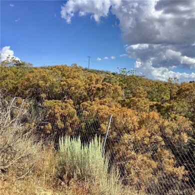 0 Everett Rd unit SW25217068, Anza, CA 92539 - photo 6