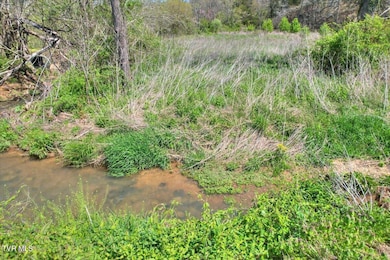 0 Mill Creek Rd, Kingsport, TN 37664 - photo 3