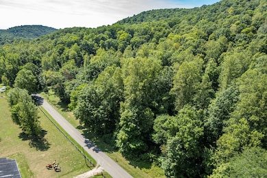 4655 Grassy Fork Rd, Peebles, OH 45660 - photo 7