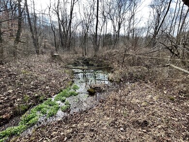 196 Petty Hollow Rd, Prospect, TN 38477 - photo 7