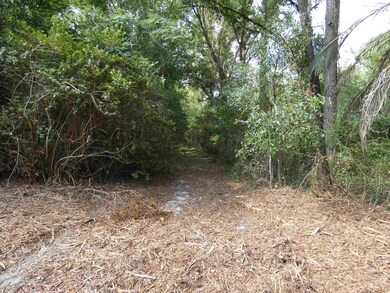 75 Old Tung Grove Rd, Monticello, FL 32344 - photo 2