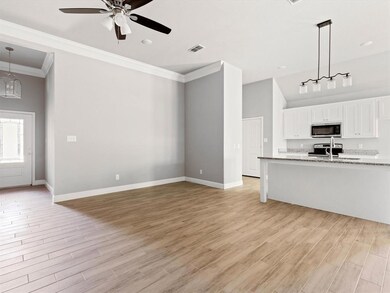 305 Jean Ct, Springtown, TX 76082 - photo 7