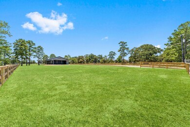 22634 Nichols Sawmill Rd, Hockley, TX 77447 - photo 4