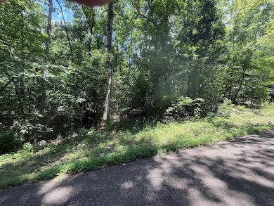 TRACT 5 Cherry Chapel Loop, Savannah, TN 38372 - photo 5