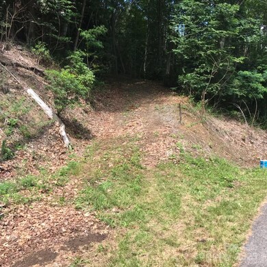 Lot 619 Yanu Trail unit 619, Maggie Valley, NC 28751 - photo 3