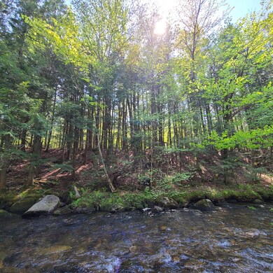 Sawyer Brook frontage