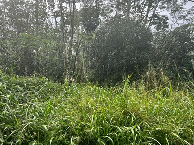 0 Pakalana Rd unit 717317, Pahoa, HI 96778 - photo 4