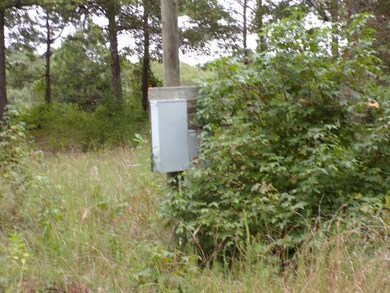 Temporary power pole