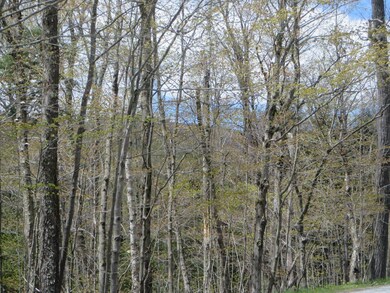 0 New Mirror Lake Village unit 4796590, Wilmington, VT 05363 - photo 7