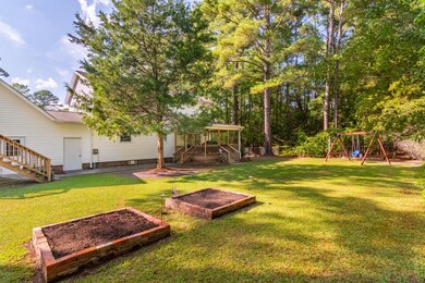 004 Big Back Yard