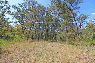 0 Shadeville Rd, Crawfordville, FL 32327 - photo 2