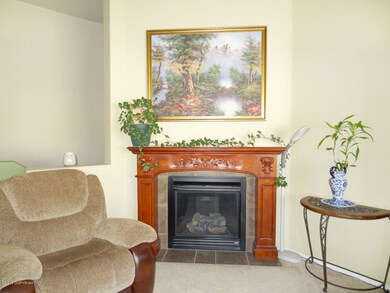 Living Room Fireplace