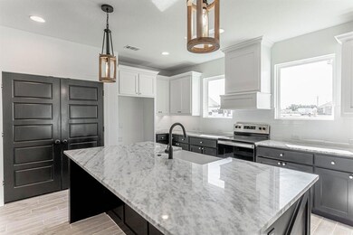 140 Bluegrass Trail, Springtown, TX 76082 - photo 4